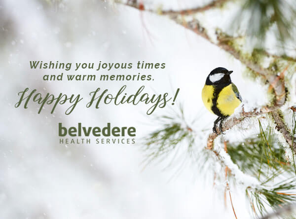 holiday-belvedere.jpg